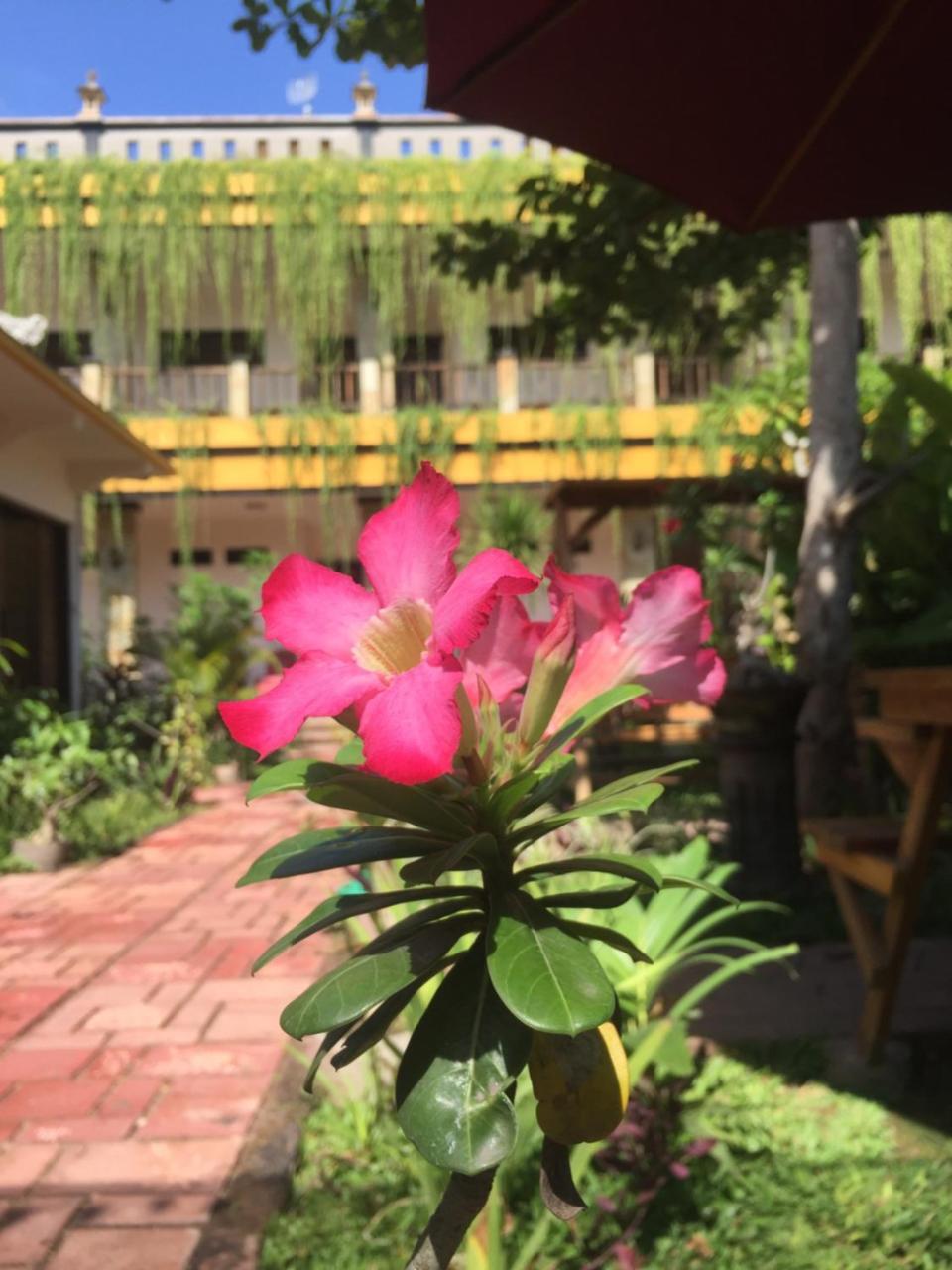 Saka Boutique Hotel Toyapakeh Экстерьер фото